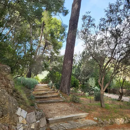 Ses Llebres Chalet Bunyola